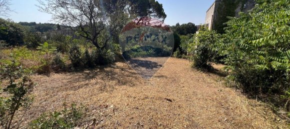 5 chambres Maison à Monopoli, Italy No. 316736 28