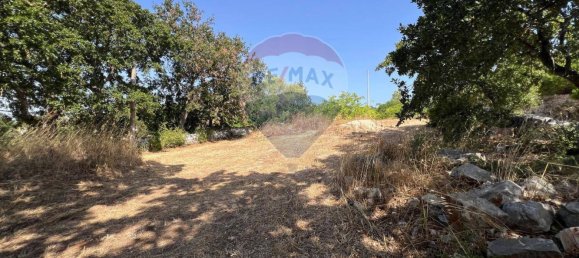 5 chambres Maison à Monopoli, Italy No. 316736 20