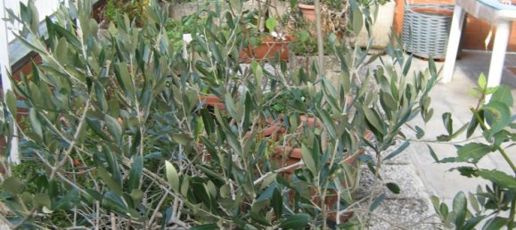 7 bedrooms Duplex in Rignano sull'Arno, Italy No. 348209 2