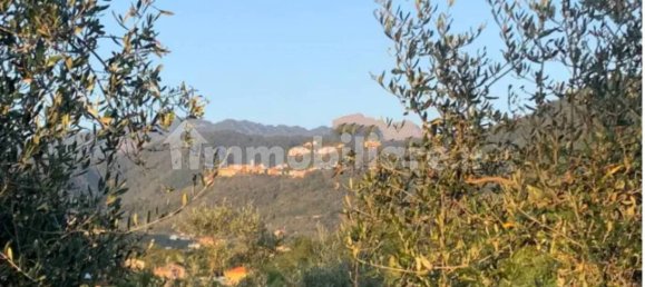 2 غرف نوم شقة في Luni, Italy رقم 99169 8