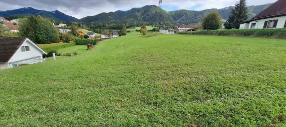 6265m² Land in Krieglach, Austria No. 261402 3
