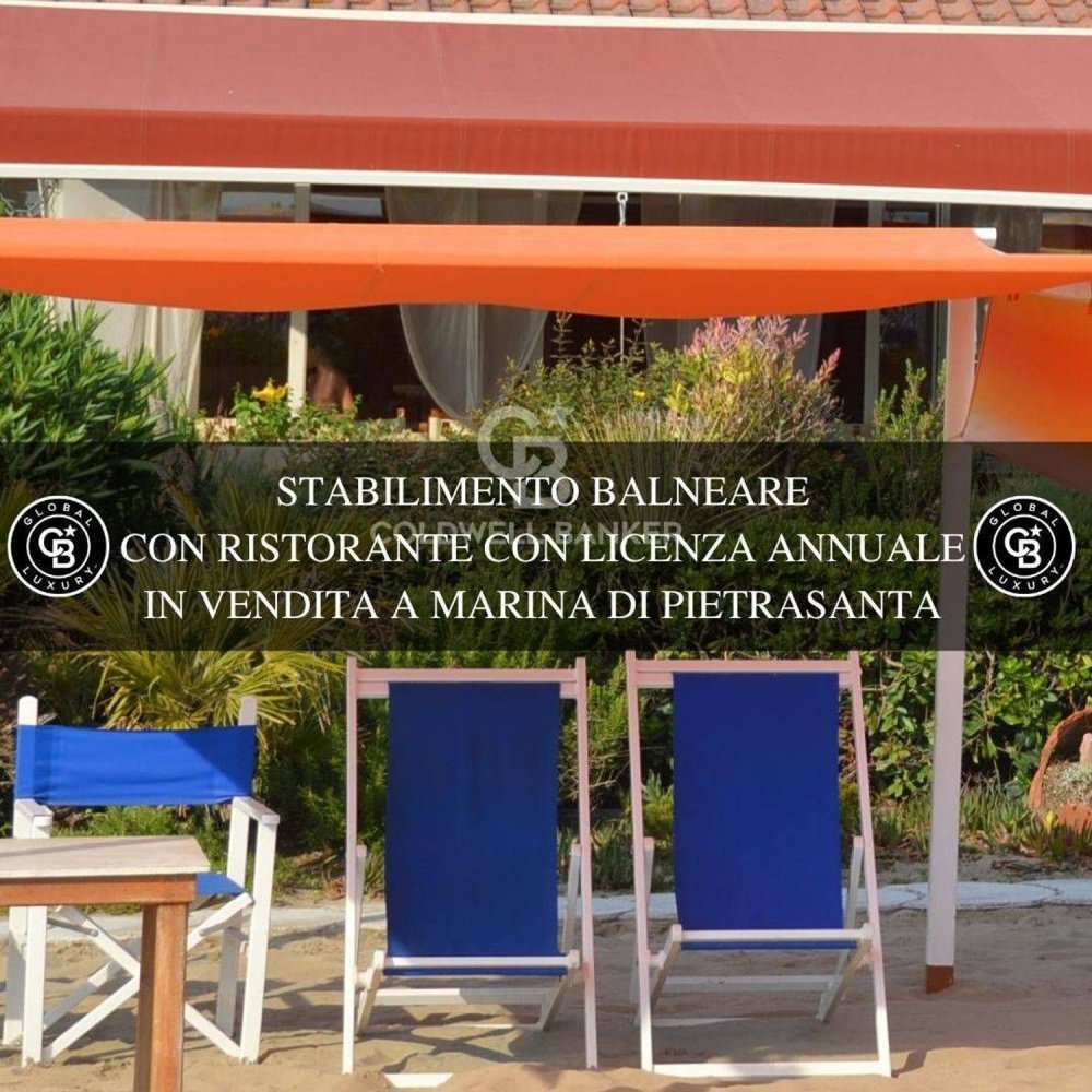 Gewerbliche Immobilie in Pietrasanta, Italy 7000m², Nr. 232099