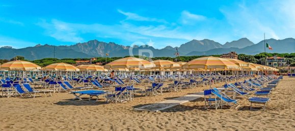 Gewerbliche Immobilie in Pietrasanta, Italy 7000m², Nr. 232099 3