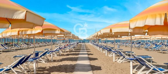 Gewerbliche Immobilie in Pietrasanta, Italy 7000m², Nr. 232099 2