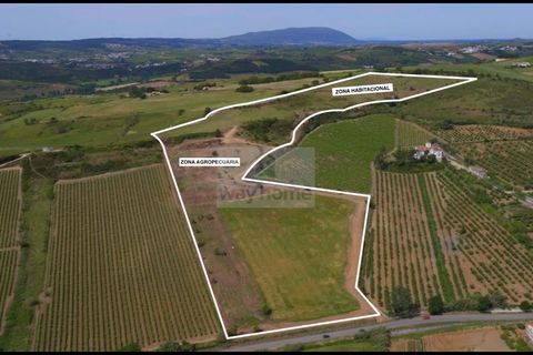 Terrain à Torres Vedras, Portugal No. 223072