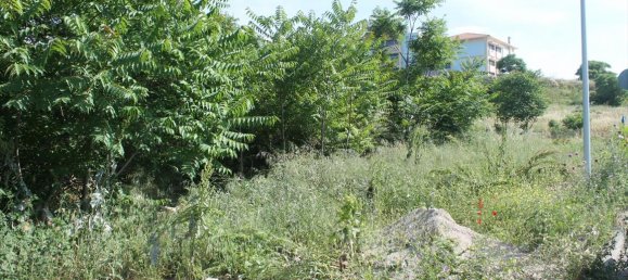 Hotel in Polichni, Greece 640m², Nr. 5679 4