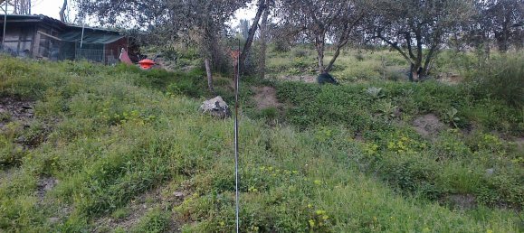 Terrain à Fosdinovo, Italy 4000m² No. 256059 5