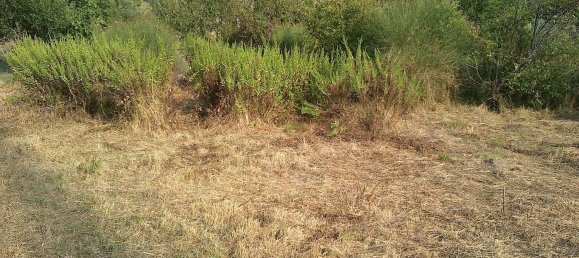 Terrain à Fosdinovo, Italy 4000m² No. 256059 7