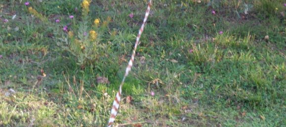 Terrain à Fosdinovo, Italy 4000m² No. 256059 6