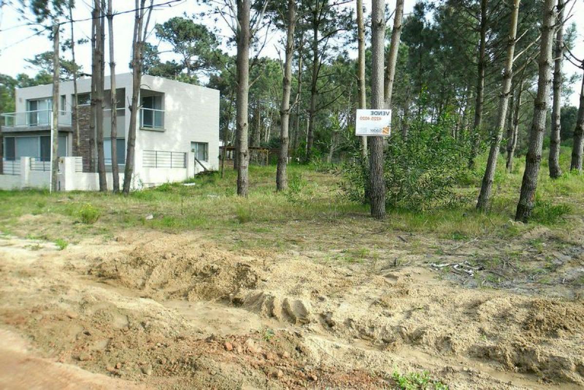 Земельный участок в Мальдонадо, Уругвай № 14722