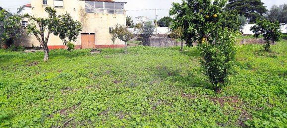 3 غرف نوم منزل في Abiul, Portugal رقم 24375 4