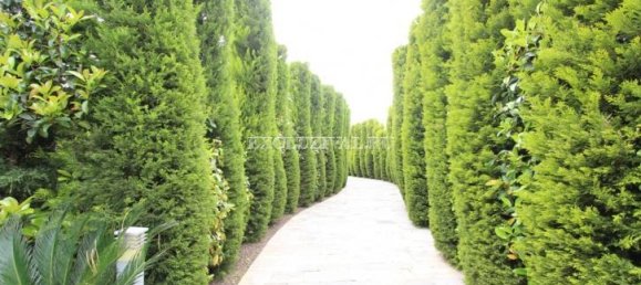 Villa 4+1 in Bodrum, Turkey No. 28236 11