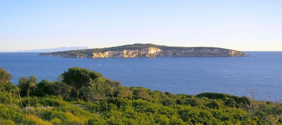 13570m² Hotel in Corfu, Greece No. 7875 3