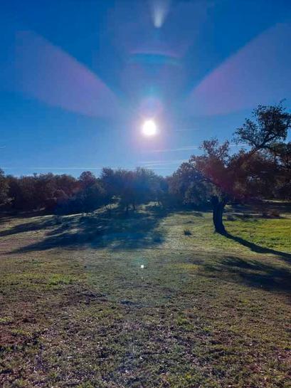 72000m² Land in Andalusia, Spain No. 240080