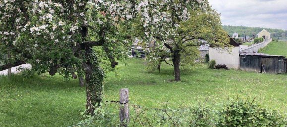 Grundstück in Krems an der Donau, Austria, Nr. 256878 4