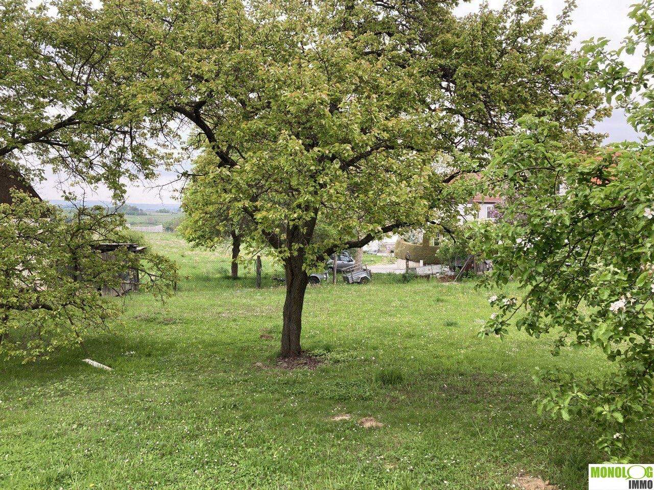 Grundstück in Krems an der Donau, Austria, Nr. 256878