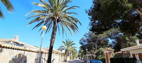 5 bedrooms Villa in Cabo Roig, Spain No. 14588 11