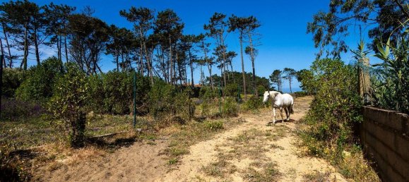 4 chambres Maison à Sintra, Portugal No. 28193 15
