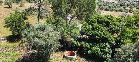 3 غرف نوم منزل في Alvaiazere, Portugal رقم 24395 6