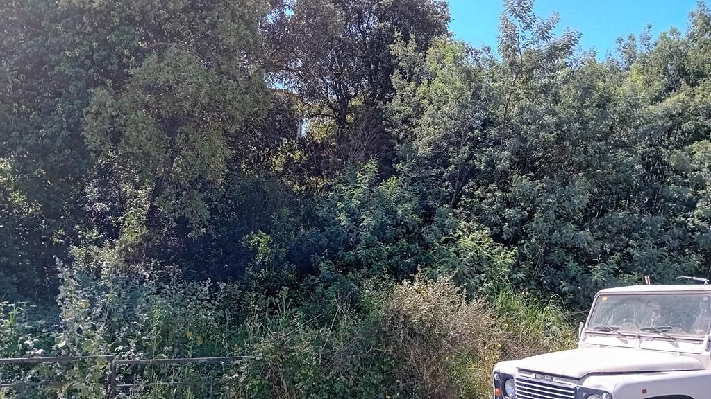 Terreno em Calonge, Spain N.º 271906