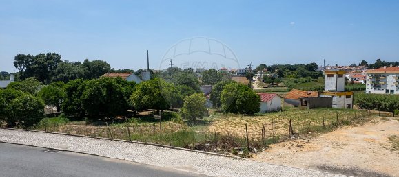 2 Schlafzimmer Haus in Santarem, Portugal, Nr. 26326 22