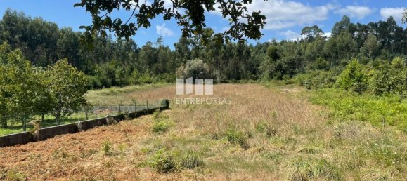 6272m² Land in Viana do Castelo, Portugal No. 88568 16