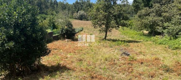 6272m² Land in Viana do Castelo, Portugal No. 88568 3