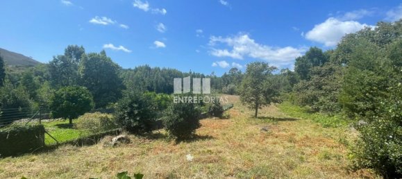 6272m² Land in Viana do Castelo, Portugal No. 88568 19