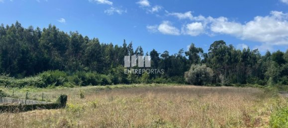 6272m² Land in Viana do Castelo, Portugal No. 88568 15