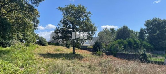 6272m² Land in Viana do Castelo, Portugal No. 88568 6