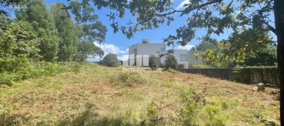 6272m² Land in Viana do Castelo, Portugal No. 88568 17