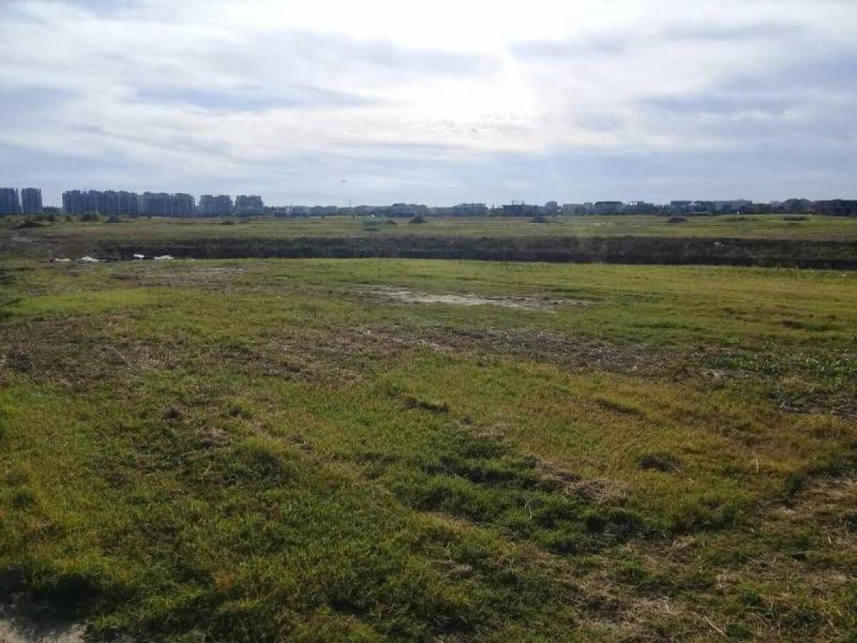 Grundstück in Tigre, Argentina, Nr. 31734