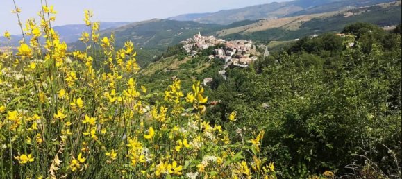 5 rooms Apartment in Abriola, Italy No. 111468 6