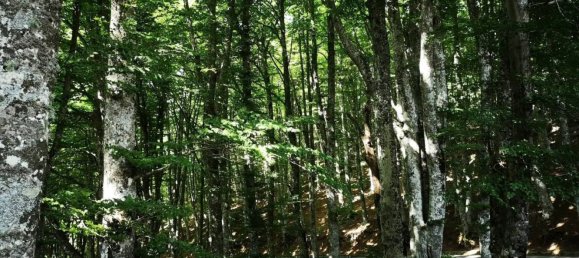 5 rooms Apartment in Abriola, Italy No. 111468 15