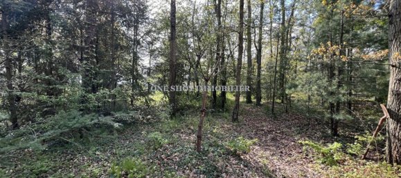 قطعة أرض في Saint-Denis-en-Val, France رقم 262597 2