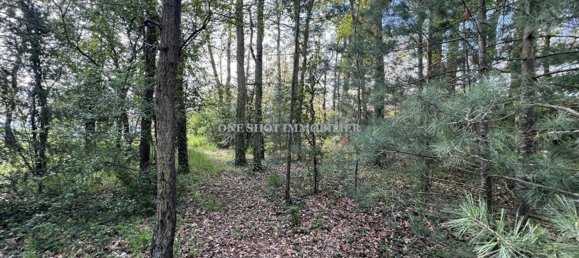 قطعة أرض في Saint-Denis-en-Val, France رقم 262597 3