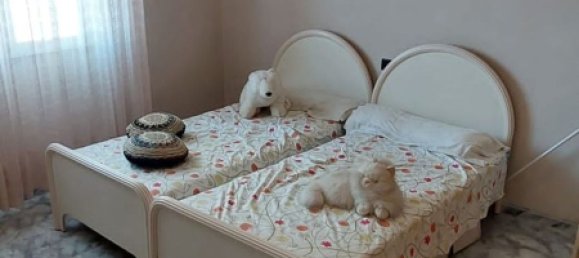 6 bedrooms House in Castellon, Spain No. 139037 23