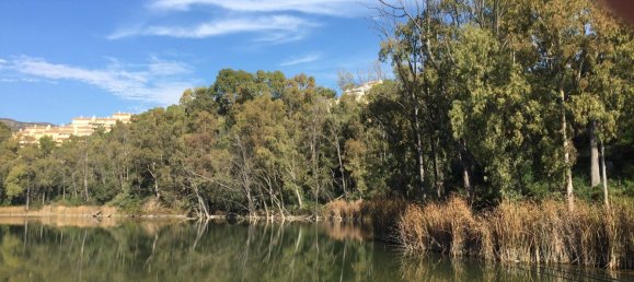 2 bedrooms Penthouse in Marbella, Spain No. 113437 34