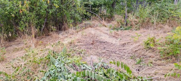 210m² Building in Castelbottaccio, Italy No. 276115 47