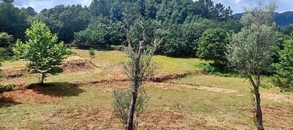 3 bedrooms House in Mosteiro, Portugal No. 32496 12