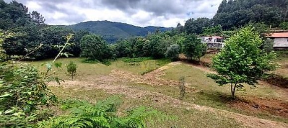 3 bedrooms House in Mosteiro, Portugal No. 32496 10