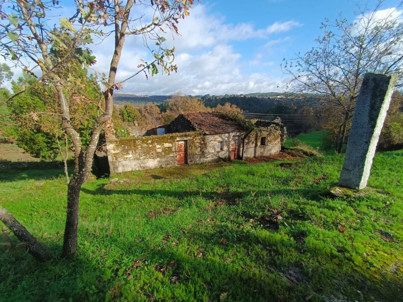  Land in Mangualde, Portugal No. 254035