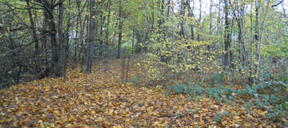 Земельный участок в Боньи-сюр-Мёз, Франция № 79967 4