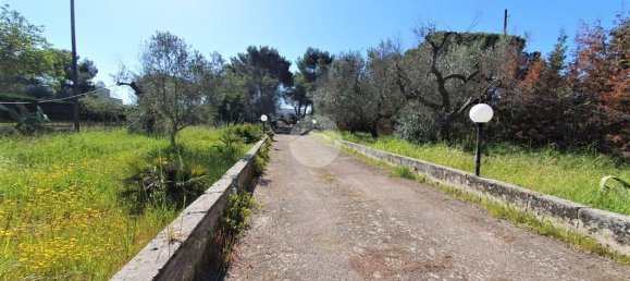 4 rooms Villa in Nardò, Italy No. 109696 15