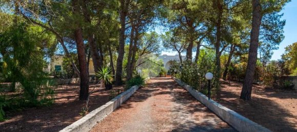 4 rooms Villa in Nardò, Italy No. 109696 13