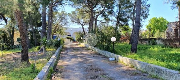 4 rooms Villa in Nardò, Italy No. 109696 18