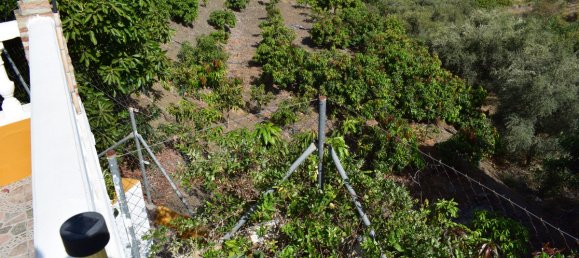 Casa T4 em Velez-Malaga, Spain N.º 41295 4