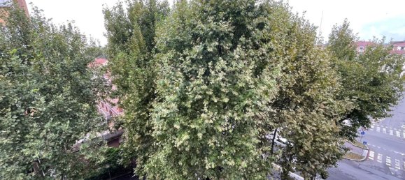 Квартира с 4 спальнями в Нови Лигуре, Италия № 327489 16