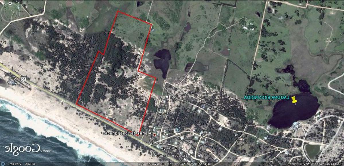  Farm in Maldonado, Uruguay No. 16186