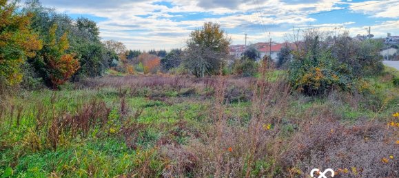 Земельный участок в Визеу, Португалия № 65889 2